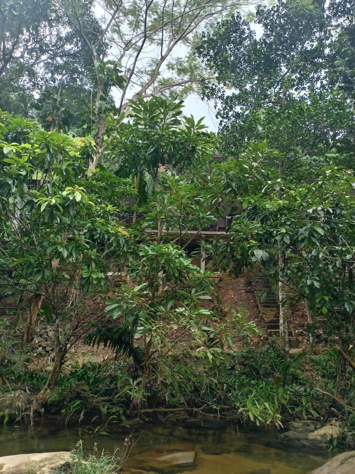 Old Bridge Riverside Hotel 基图尔格勒 外观 照片